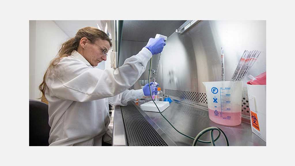 Herpes gene cure
